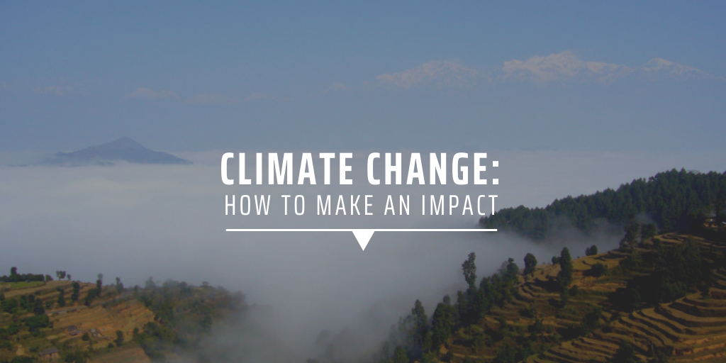 Climate change: how to make an impact | GVI | GVI