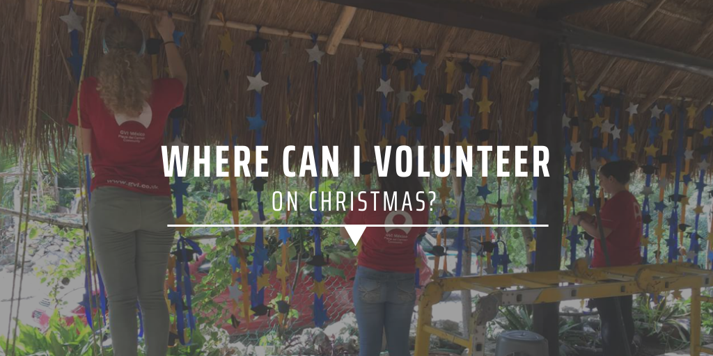 Where can I volunteer on Christmas? GVI GVI