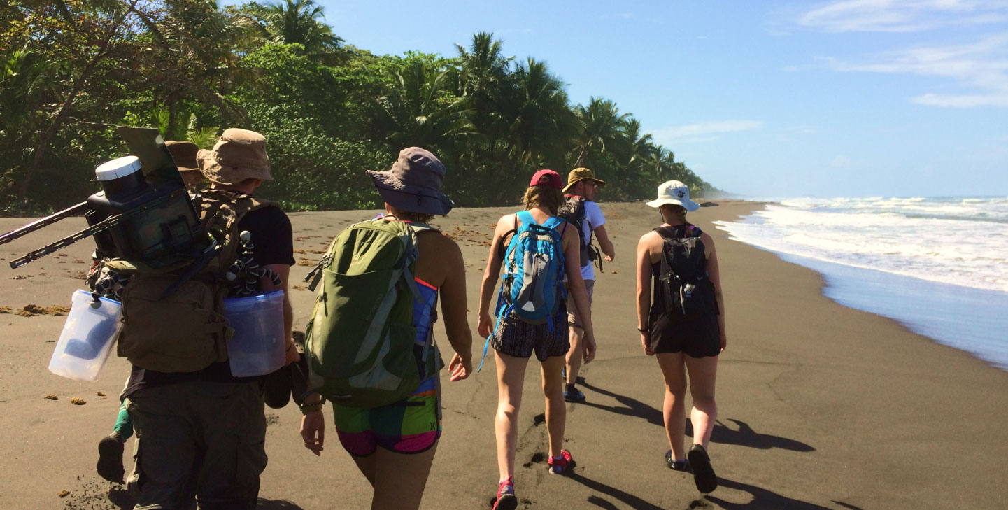 Citizen Science Program In Costa Rica | GVI | GVI