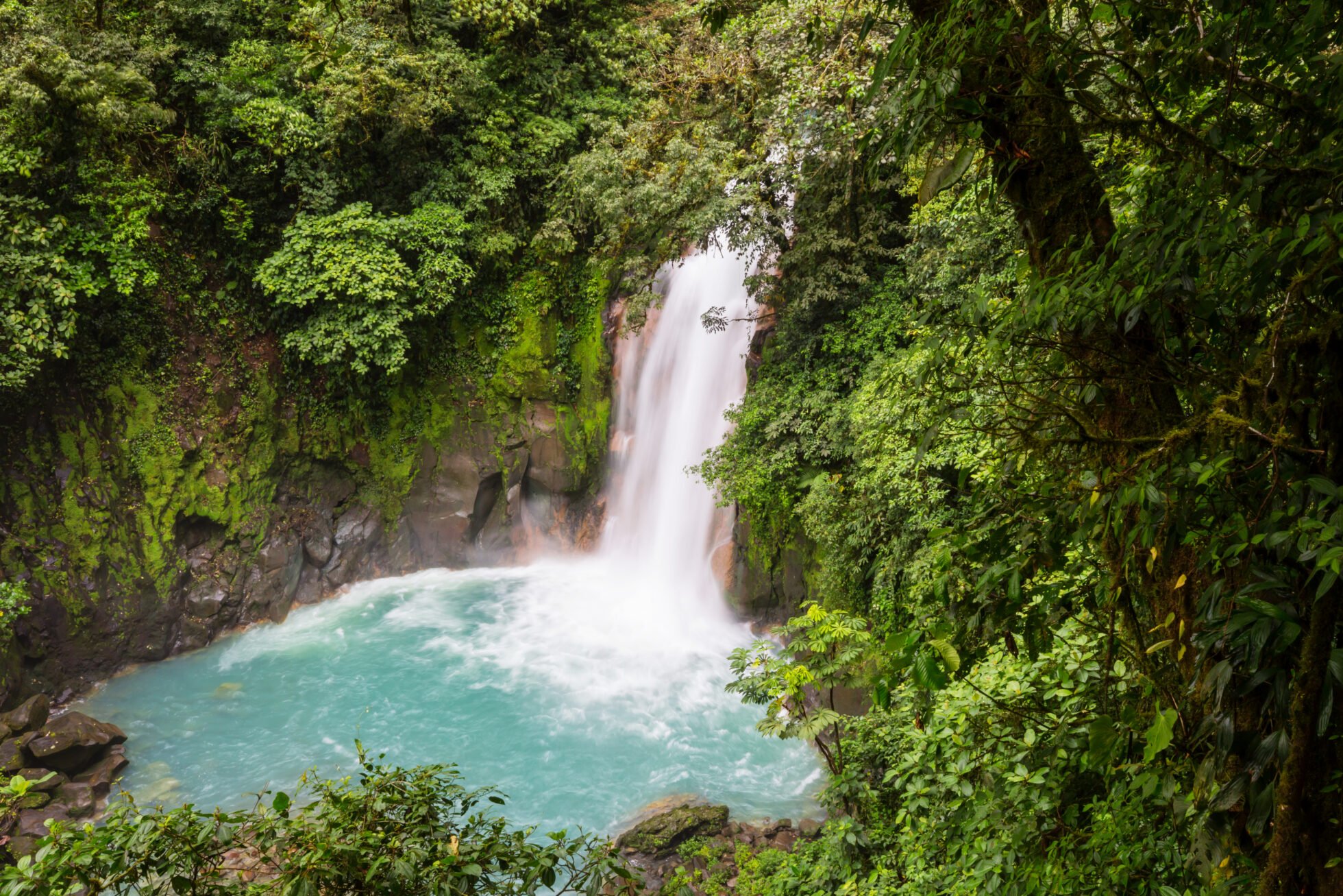 Exploring the rainforests of Costa Rica | GVI | GVI