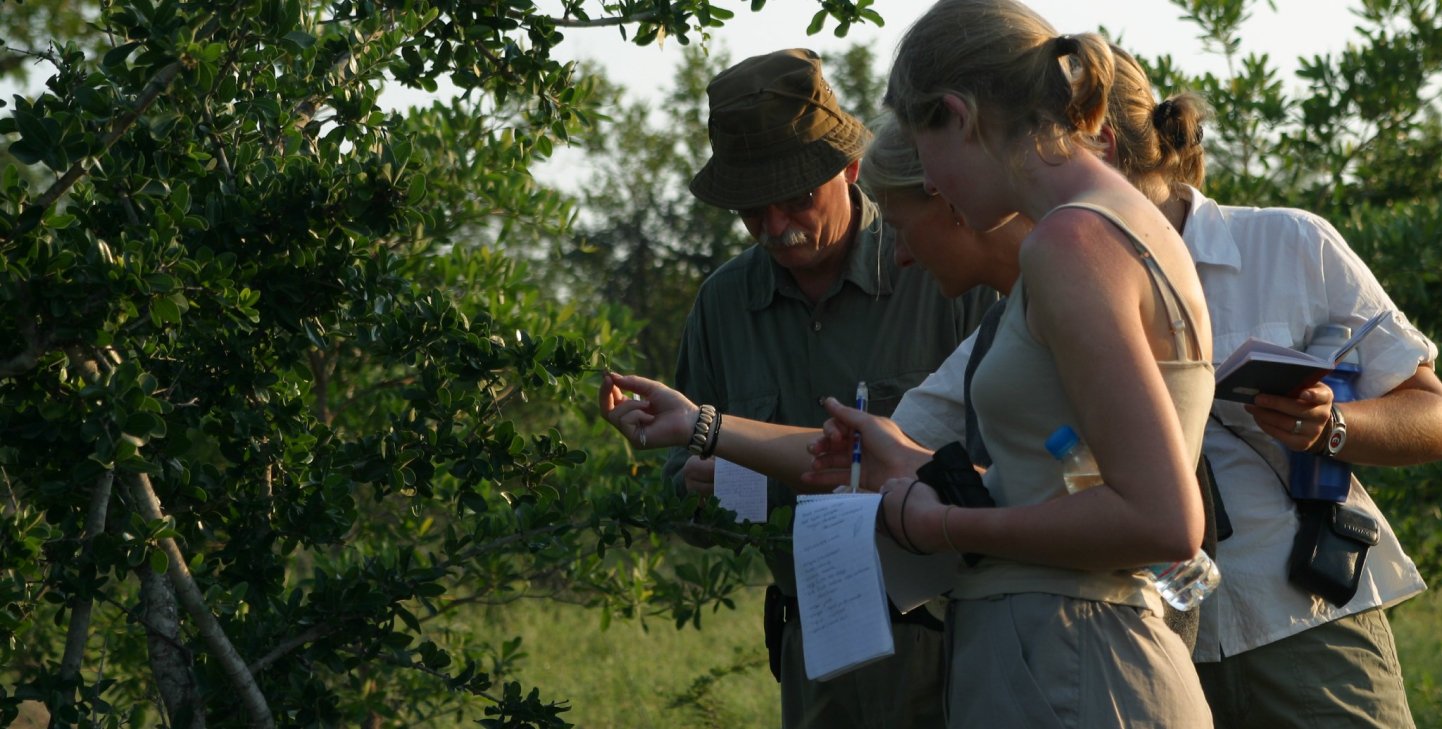 Wildlife Research Fellowship in South Africa | GVI | GVI