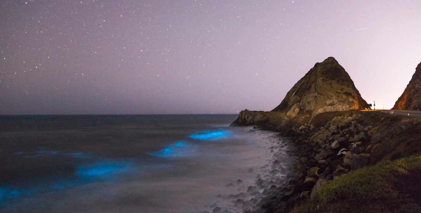 Wow, wow, wow': Stunning bioluminescence lights up Irish beach