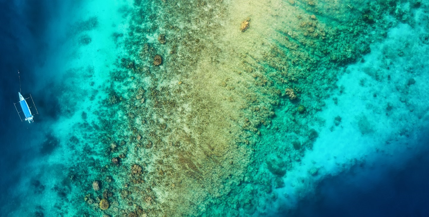 Exploring the Great Barrier Reef Through Citizen Science | GVI | GVI