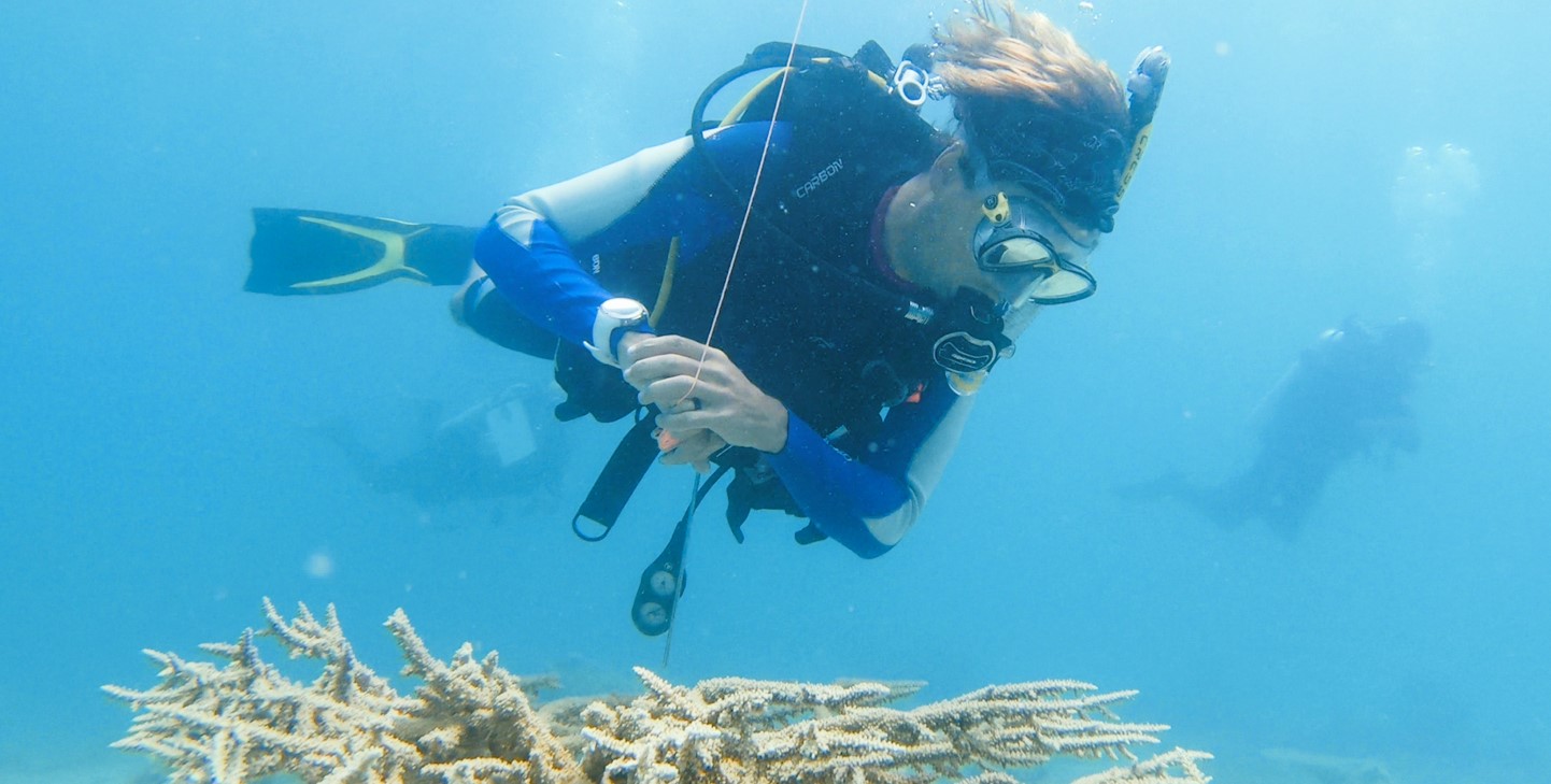 The Importance Of Citizen Science To Protect The Ocean | GVI | GVI