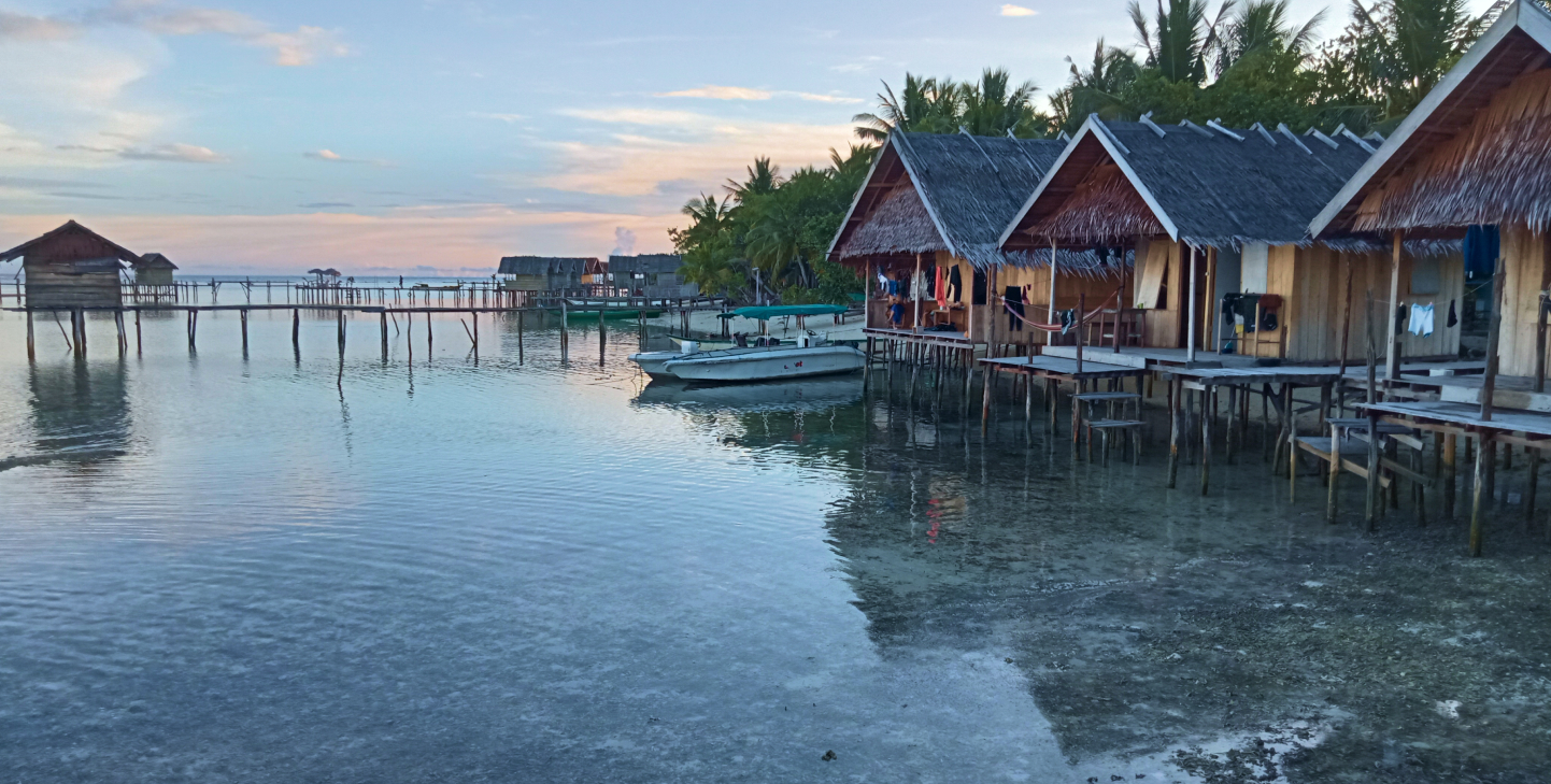 PADI Divemaster and Marine Conservation Expedition in Raja Ampat ...