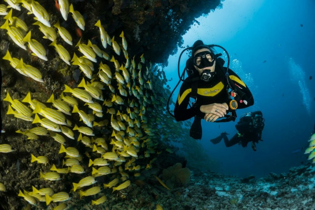 Maldives diving