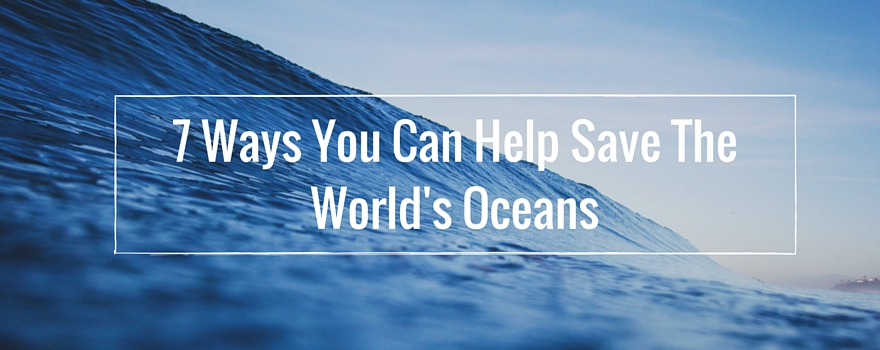 7 Ways You Can Help Save The World's Oceans | GVI UK