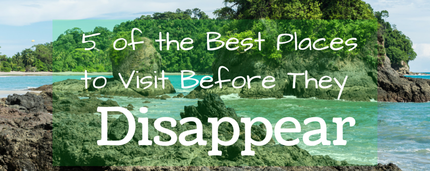5 Of The Best Places To Visit Before They Disappear Gvi Uk 3187