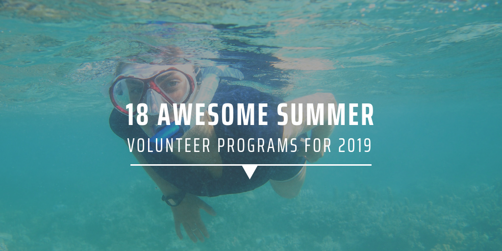 18 awesome summer volunteer programs for 2019 GVI UK