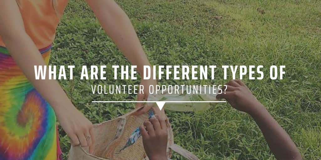 What Are The Different Types Of Volunteer Opportunities GVI UK